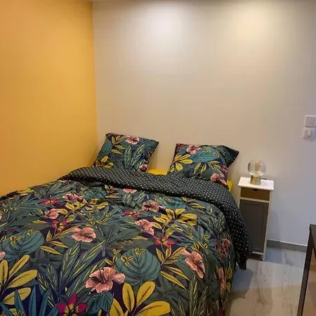 Etat Neuf La Chantalane -proche Centre-ville